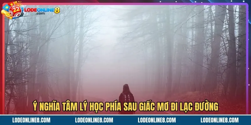 Mơ thấy đi lạc đường và thông điệp tâm lý tiềm thức